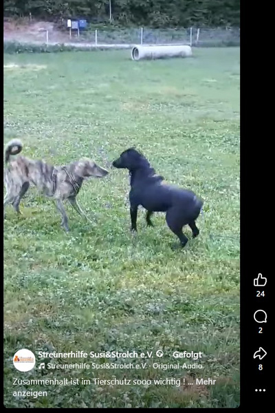 Hier findet ihr das süße Video von den beiden Image